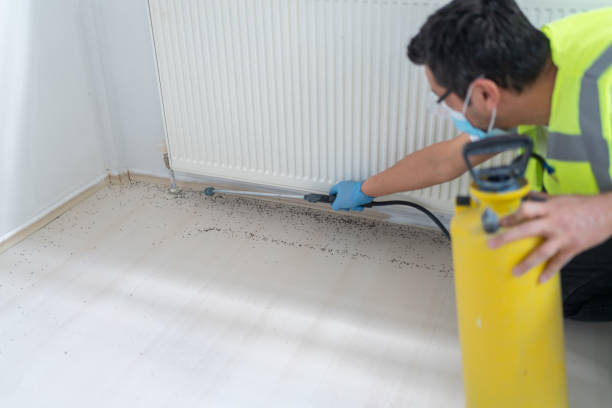 Best Pest Control Near Me  in Knightsen, CA
